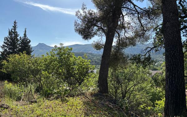 Terrain à vendre