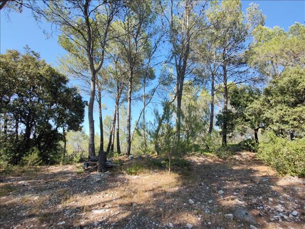 Maison à vendre |  Saint-Clément-de-Rivière |  6 pièces | 186 m²