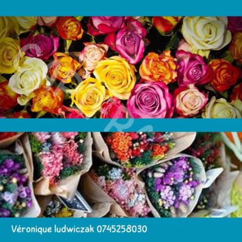 Fonds de commerce à vendre MONTIGNY EN OSTREVENT (59)