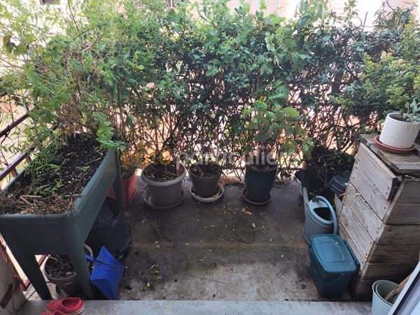 Vente
                Appartement77,85 m² - 4 Pièces -
                    ORLEANS (45100)