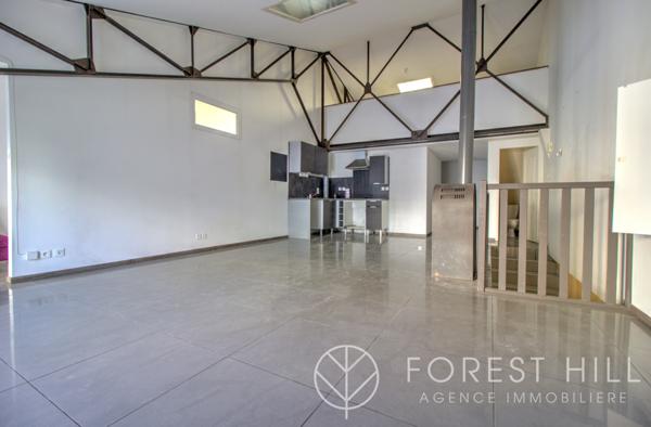 Céret (66400) Appartement style loft centre ville