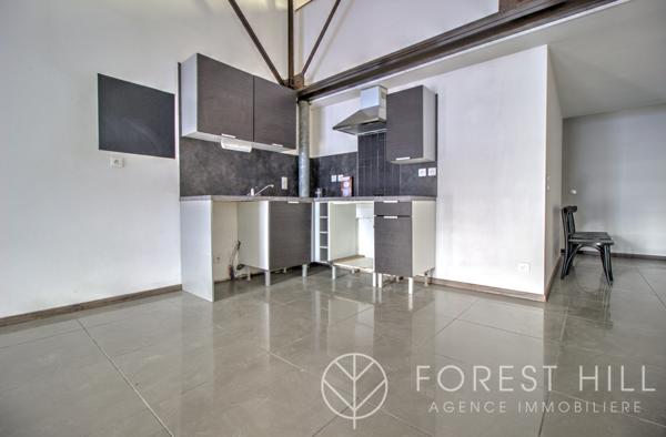 Céret (66400) Appartement style loft centre ville