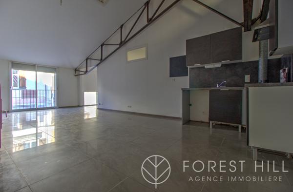 Céret (66400) Appartement style loft centre ville