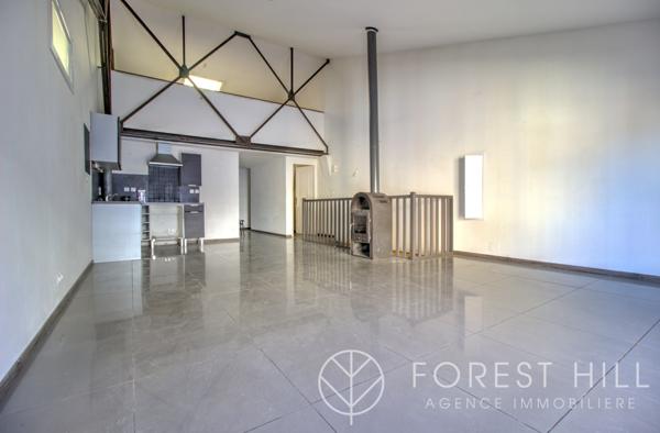 Céret (66400) Appartement style loft centre ville
