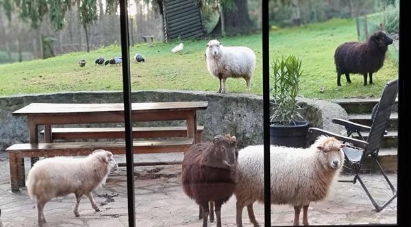 Longère Bretoncelles 5 pièce(s)