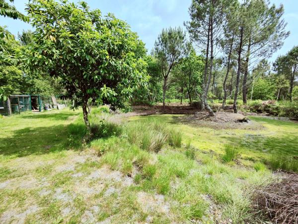 T6 de plain pied, au calme, sans vis à vis, Garage