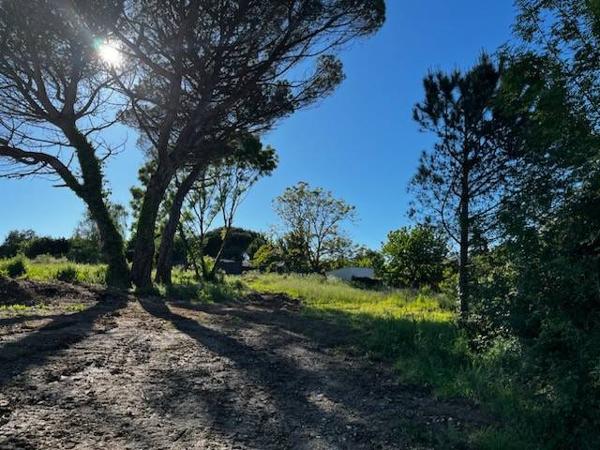 TERRAIN à VAUX SUR MER
