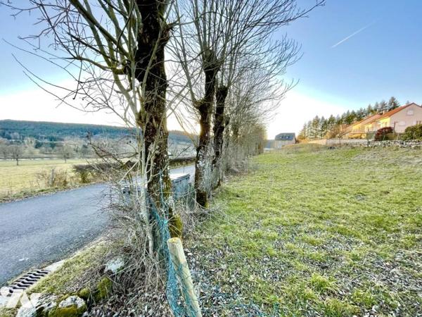 TERRAIN A BATIR AU MALZIEU VILLE