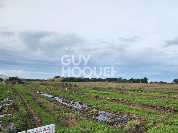 Terrain Saint Denis D Oleron 813 m2