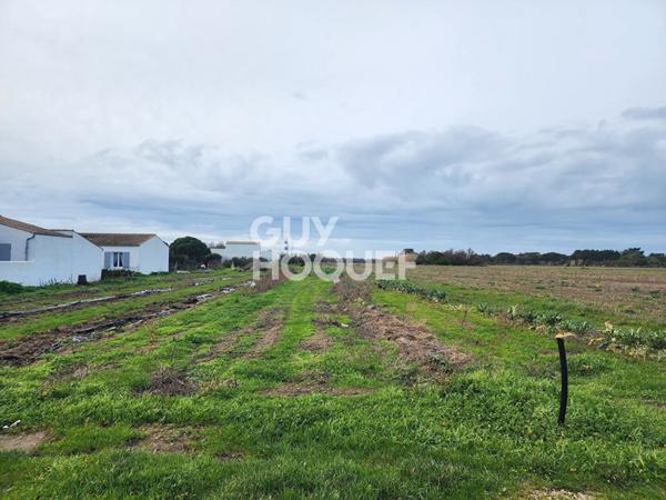 Terrain Saint Denis D Oleron 813 m2