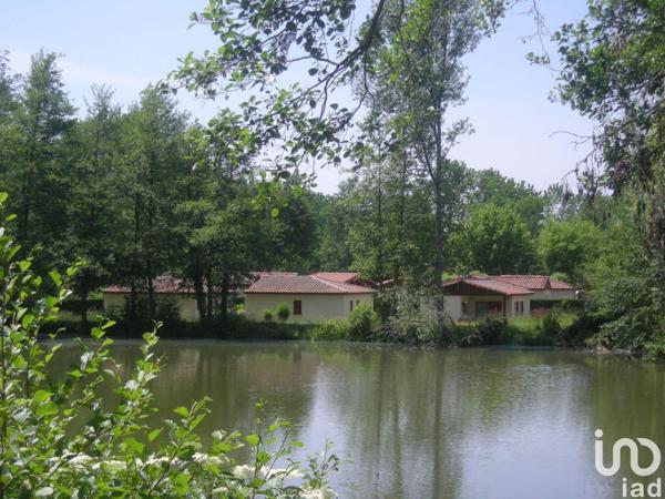 Camping à vendre 50 000 m² Estang