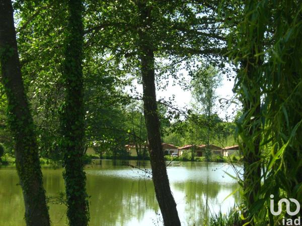 Camping à vendre 50 000 m² Estang