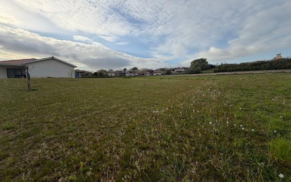 Terrain à vendre    Montaut
