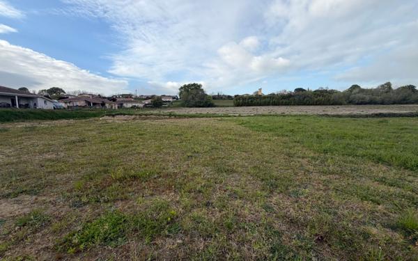 Terrain à vendre    Montaut