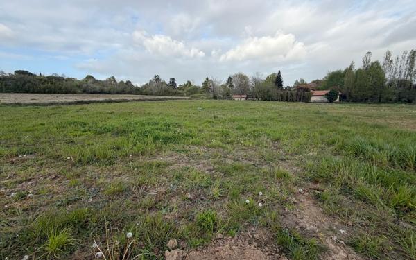 Terrain à vendre    Montaut