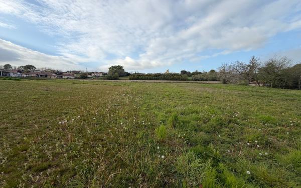 Terrain à vendre    Montaut