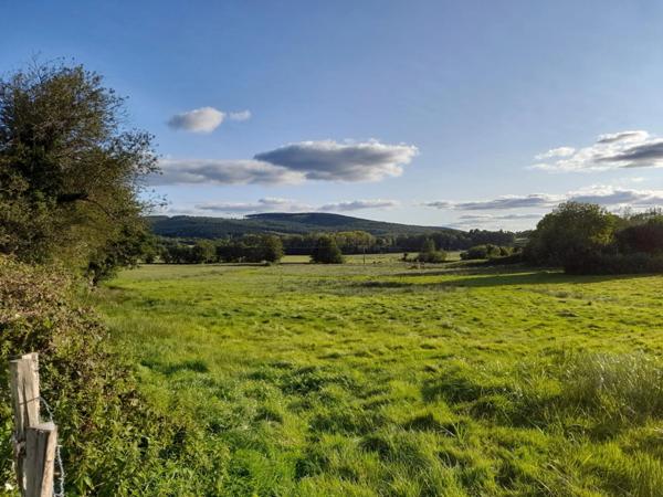 A 25 mn d'AUTUN - à ARLEUF (58) Maison de caractère avec garage et cour.