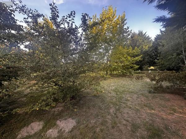 Achat - Maison Noyant-Villages 49390 7 pièces 138 m 2 4430 m 2
