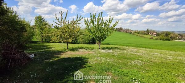 Viager 155 m² à Auvillar 82340