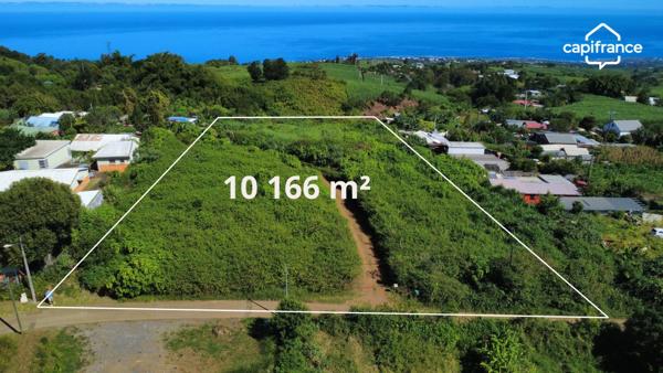 Terrain avec vue mer – La Saline les Hauts : 4 500 m² construtible