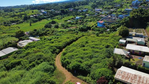 Terrain avec vue mer – La Saline les Hauts : 4 500 m² construtible