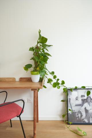 T1bis  20m² meublé dans grande maison d’architecte - Gare de Bègles Tram B