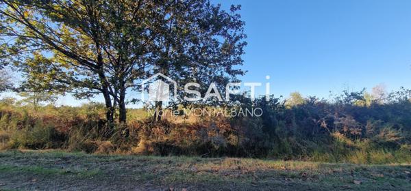 Grand terrain forestier 8h à Biganos