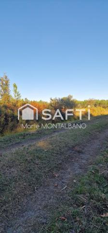 Grand terrain forestier 8h à Biganos