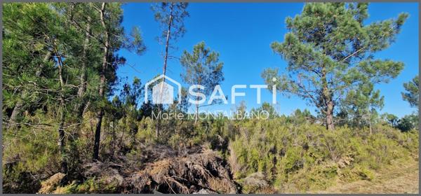 Grand terrain forestier 8h à Biganos