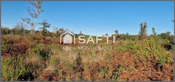 Grand terrain forestier 8h à Biganos