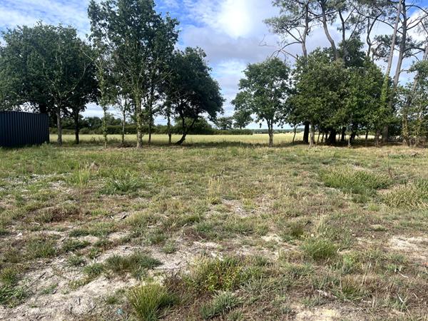 Maison Neuve à Vendre au Fenouiller - 3 chambres, jardin Spacieux, frais de notaire réduits.