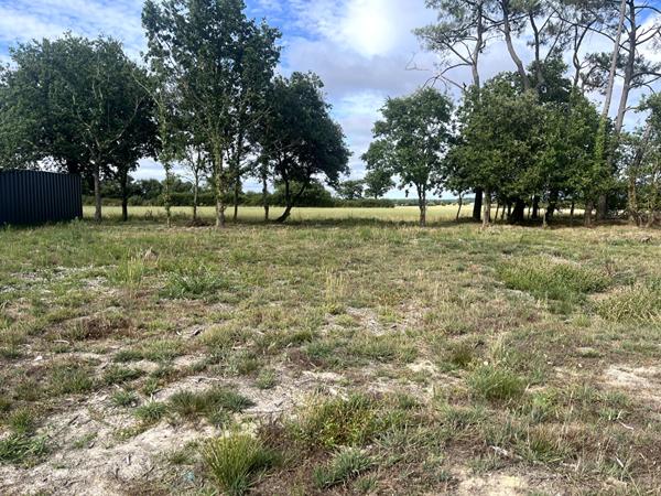 Maison Neuve à Vendre au Fenouiller - 3 chambres, jardin Spacieux, frais de notaire réduits.
