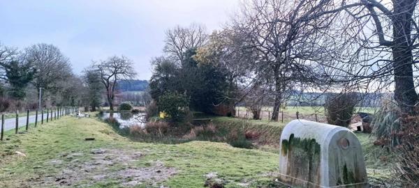 Immobilier Séglien (56160) – Hangar 325m2 – 29 990 €