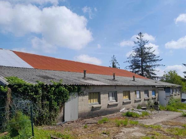 Immobilier Séglien (56160) – Hangar 325m2 – 29 990 €