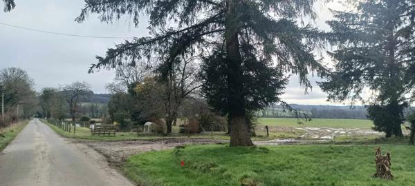 Immobilier Séglien (56160) – Hangar 325m2 – 29 990 €