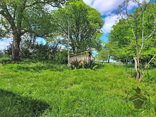 Location Appartement 2 pièces 37 m2 à Saint-Martin-de-Coux