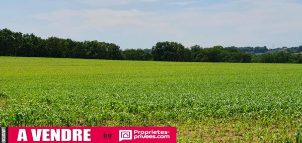 Propriété agricole à vendre