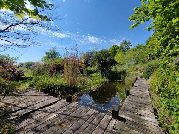 Deux maisons indépendantes, habitables immédiatement, 3 ha – Campagne de Molières (82)