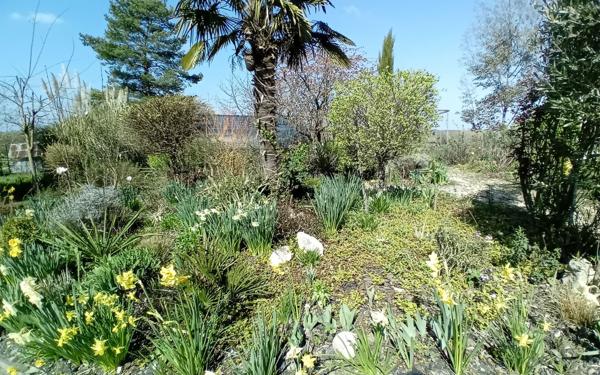 Maison à vendre    4 pièces •  Monthou-sur-Cher