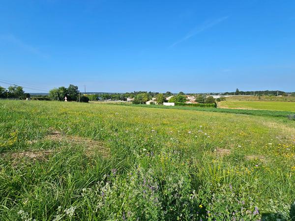Terrain à vendre La Couronne 1267 m2 16400