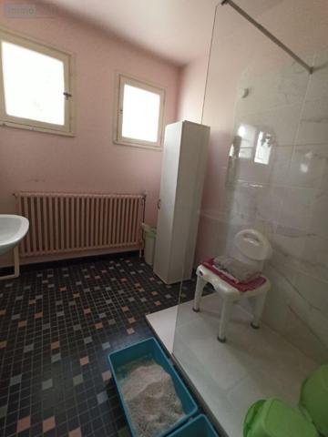 Maison à restaurer à vendre à Lignières dans le Cher (18160), ref : LA/13