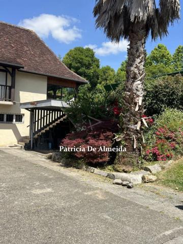 Maison familiale au coeur du centre ville, avec jardin , piscine