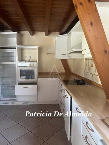 Maison familiale au coeur du centre ville, avec jardin , piscine