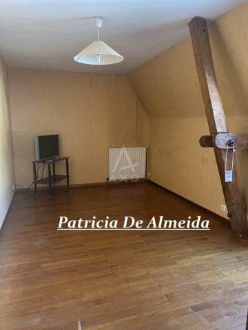 Maison familiale au coeur du centre ville, avec jardin , piscine