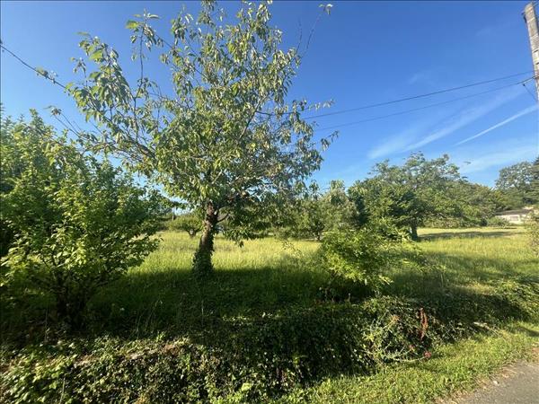 Terrain à vendre |  Martel |  2288 m²