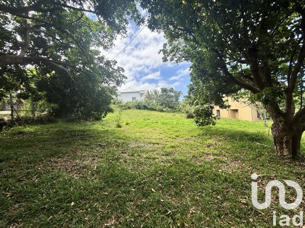 Terrain à vendre 1 000 m² Saint-Pierre