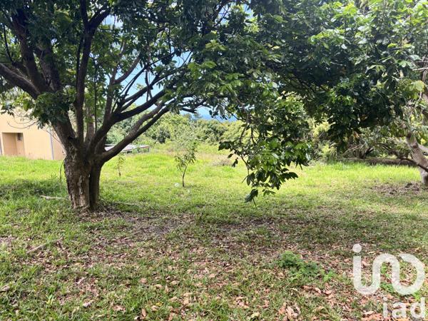 Terrain à vendre 1 000 m² Saint-Pierre