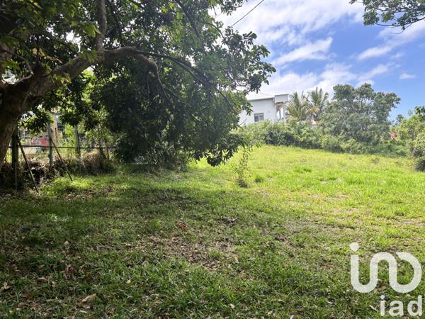 Terrain à vendre 1 000 m² Saint-Pierre