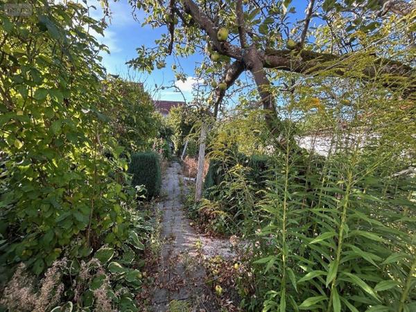 Maison à vendre à Calonne-Ricouart dans le Pas-de-Calais (62470), ref : 25/0018VM