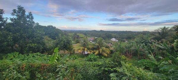 Baie-Mahault (97122) Spacieux T4 + mezzanine vue mer
